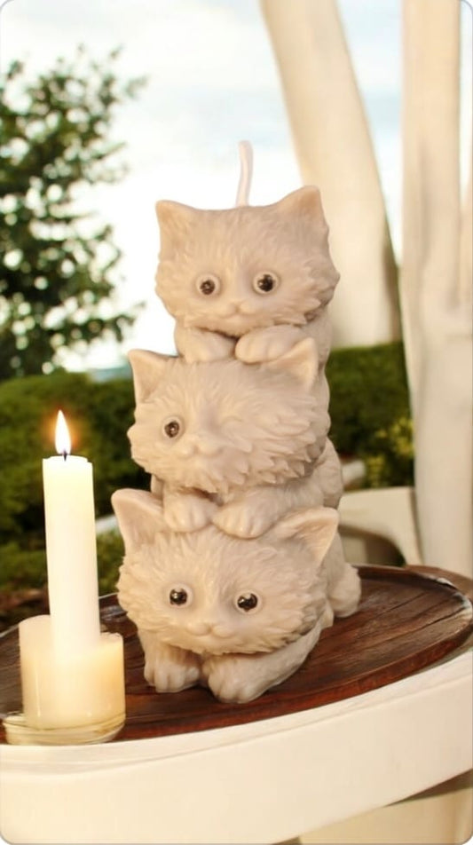 Les 3 poilus
