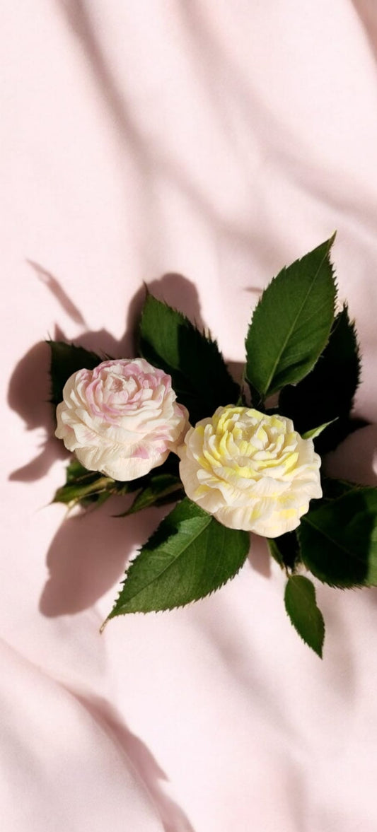 Pivoine