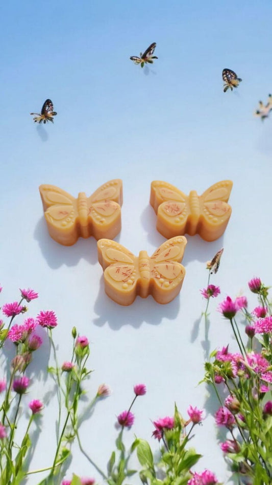 Papillon