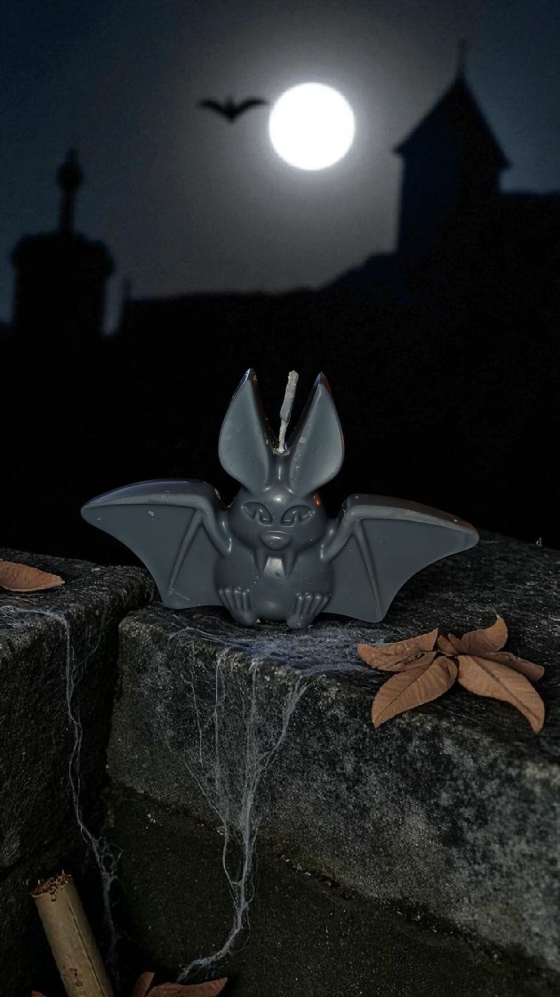 Chauve-souris